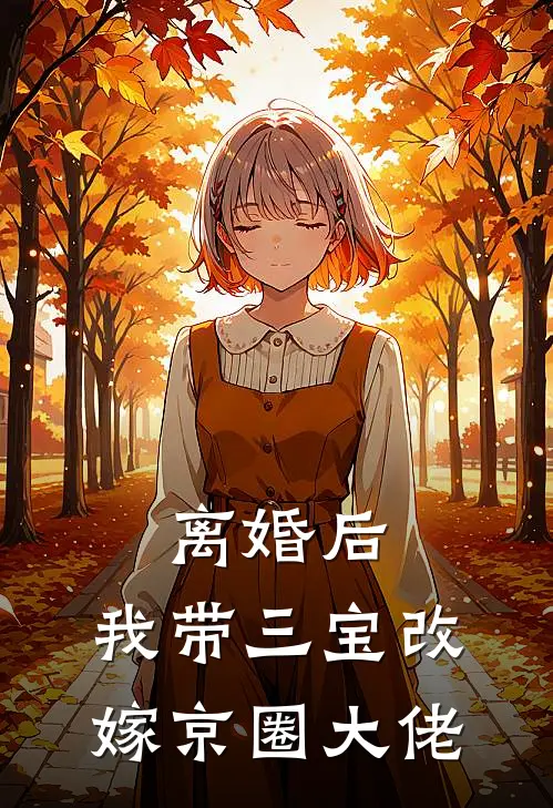 离婚后，我带三宝改嫁京圈大佬沈珏江琬白免费小说全集_免费阅读无弹窗离婚后，我带三宝改嫁京圈大佬沈珏江琬白